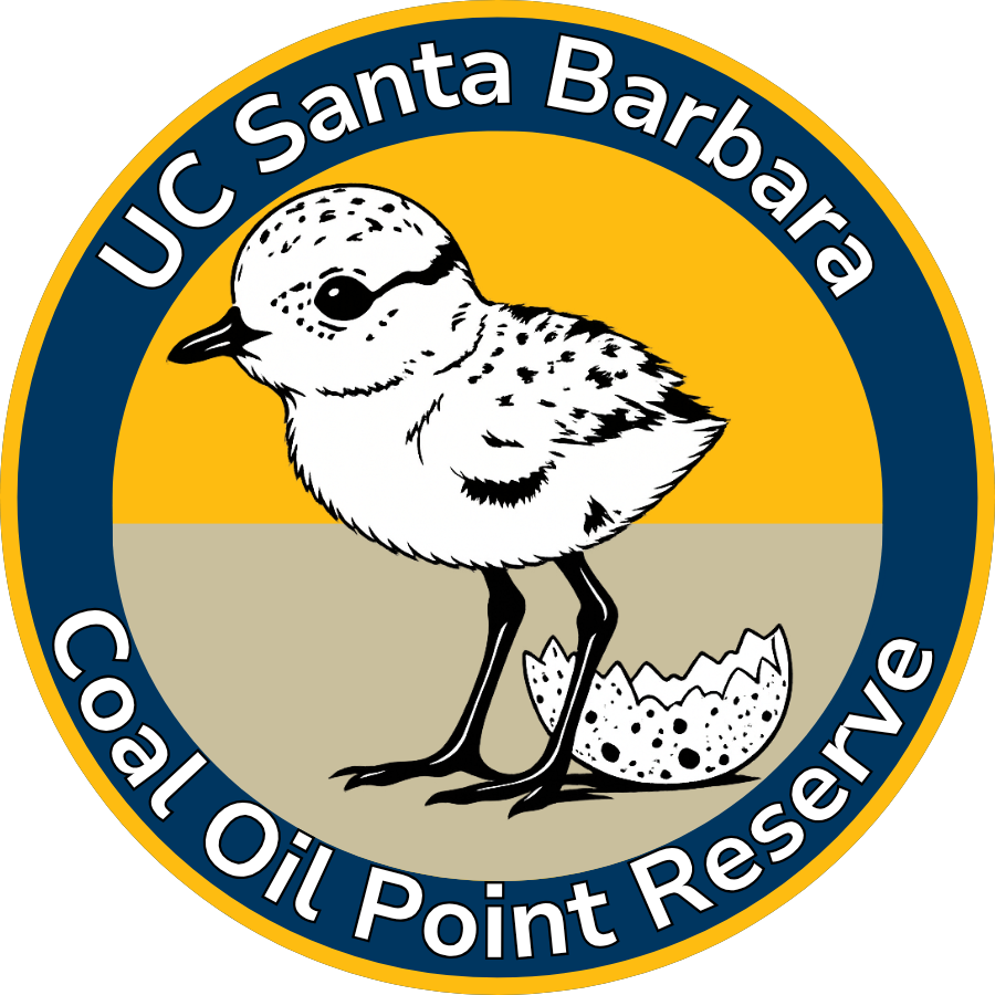Coal Oil Point Reserve
